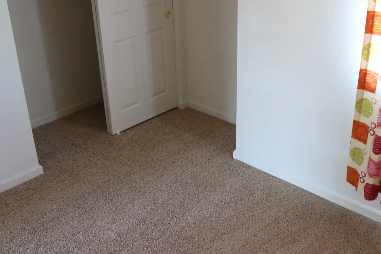 Second bedroom closet