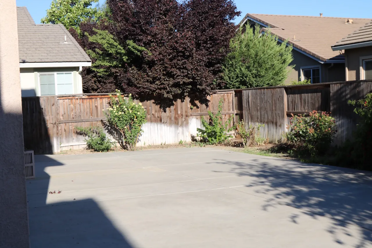 The backyard